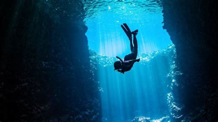 A Deep Dive Into "Bonbibonkers Leaks"