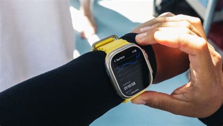 A Deep Dive Into Wrestling Royalty