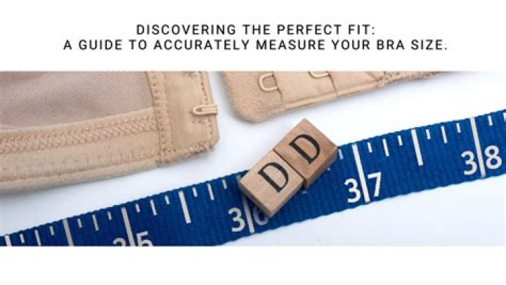 A Guide To Discovering The Perfect Fit