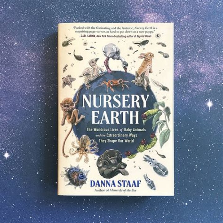 A Journey Into The World Of Pilar Pallete Richard Weldy