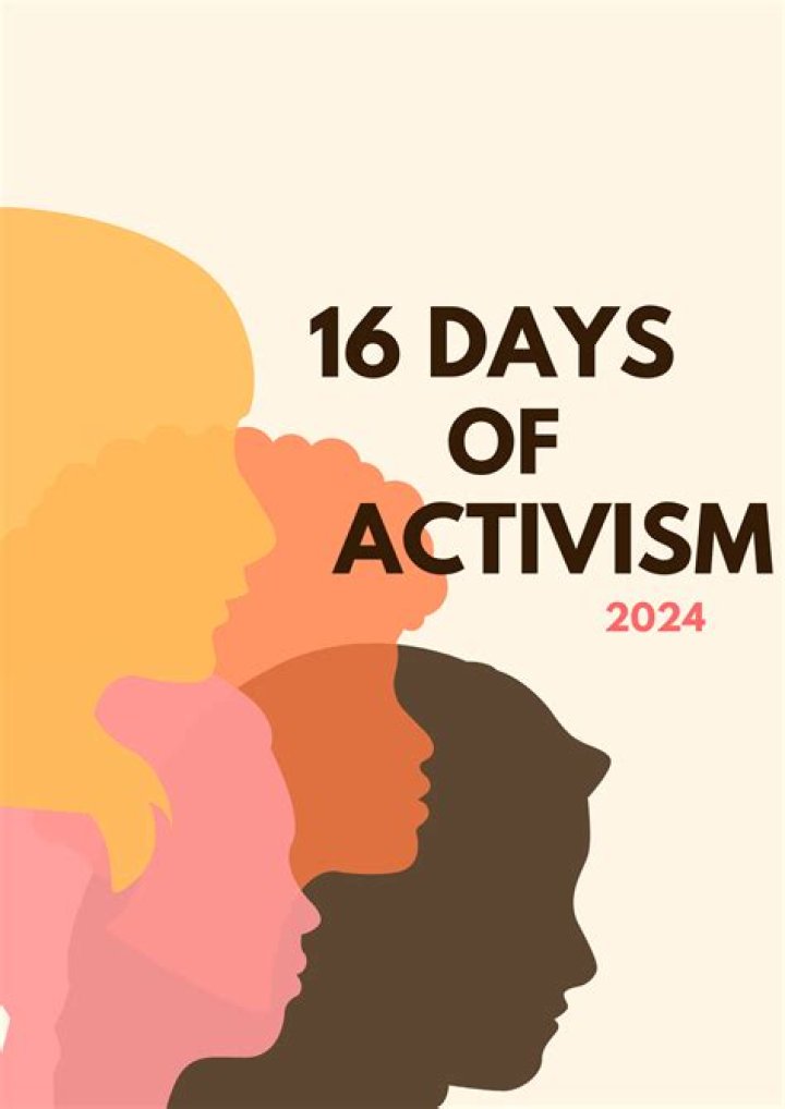 A Journey Of Activism And Collaboration