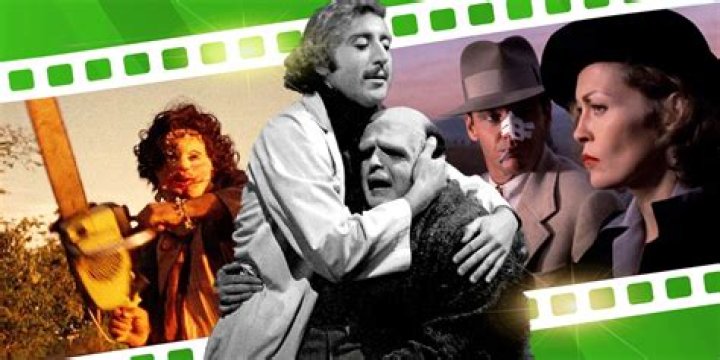 A Journey Of Versatility And Impact In Film And