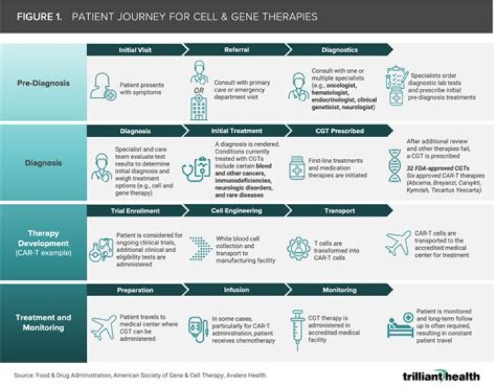 A Theatrical Journey Of Discovery