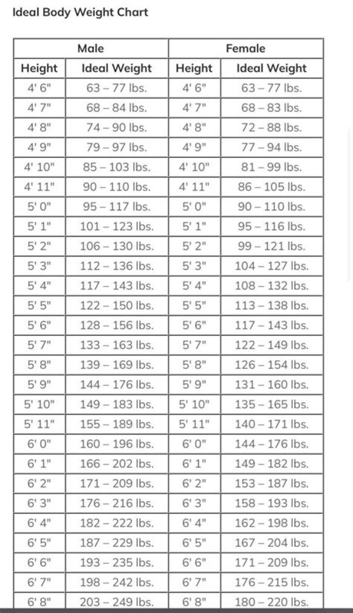 Age, Height, Weight, And Body Measurements