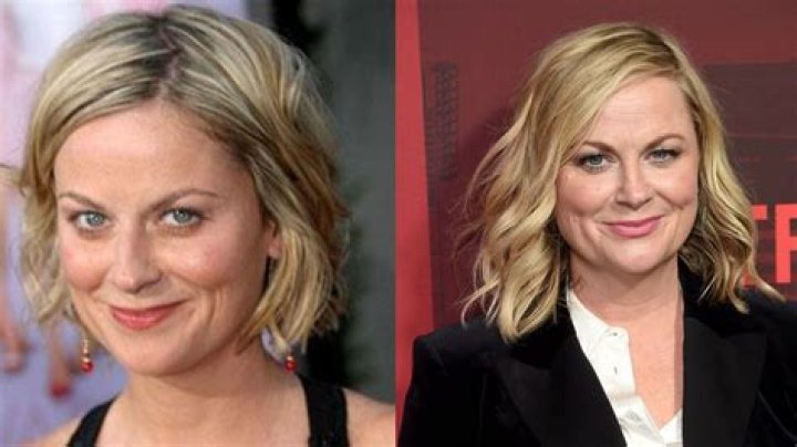 Amy Poehler Plastic Surgery