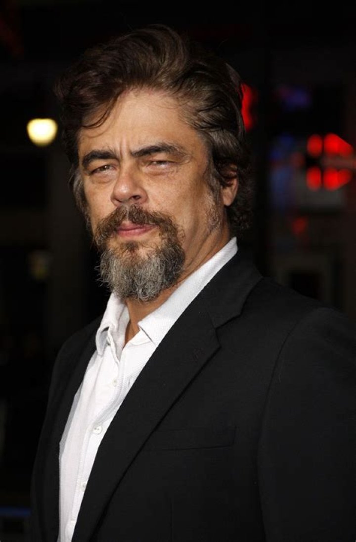 Are Benicio del Toro and Guillermo related?