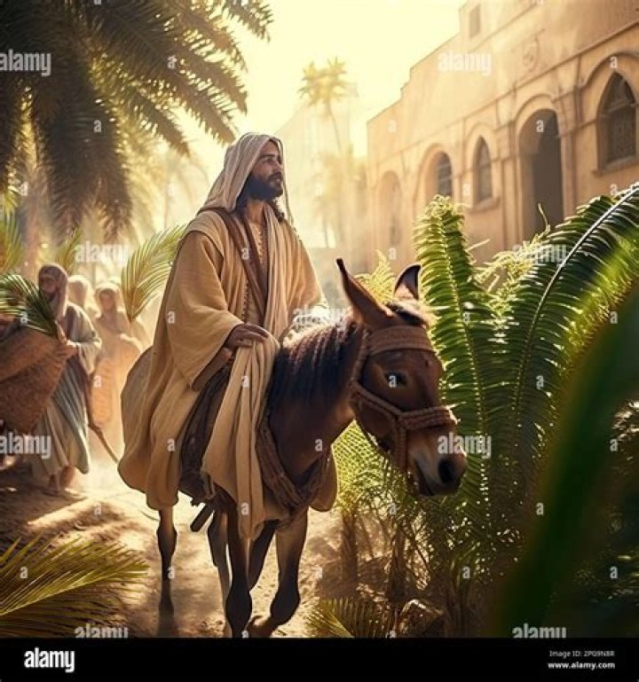 Arna Kimiai's Triumphant Search For Her Father