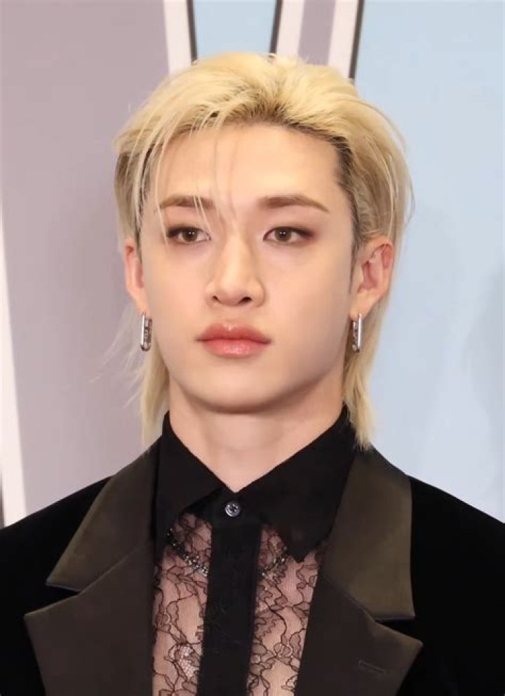Bang Chan (Stray Kids) Wiki, Bio, Height, Weight, Career, Net Worth, Family Life, Facts