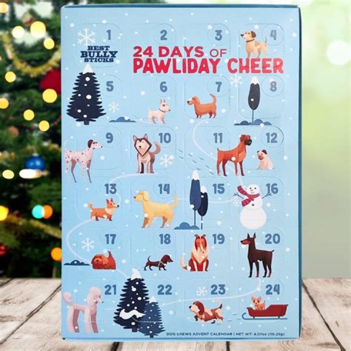Best advent calendars for dogs 2023: Calendars your pets will love