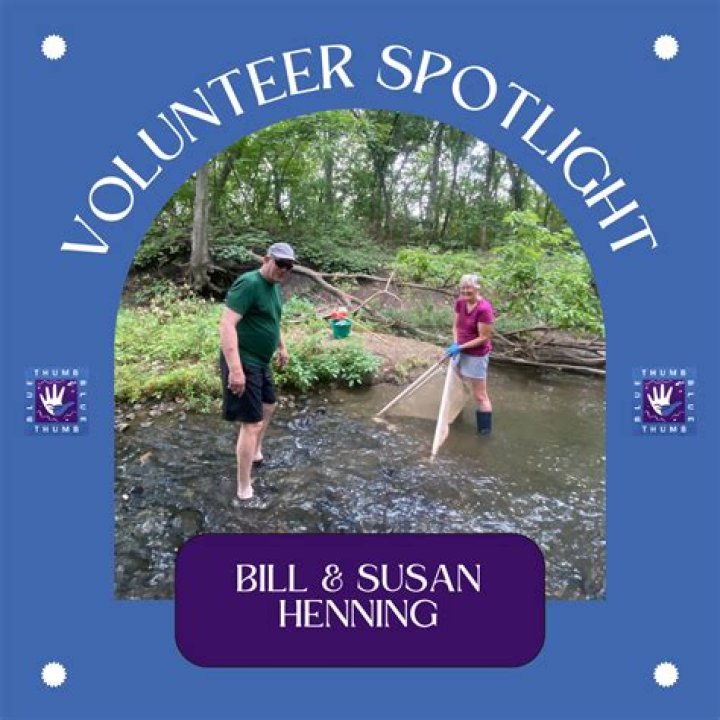 BlogLab | Susan Henning