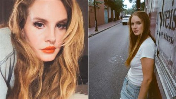 BlogNews | Hayley Rey Net Worth