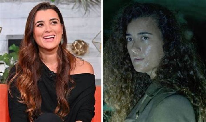 Cote De Pablo's Daughter's Age Revealed