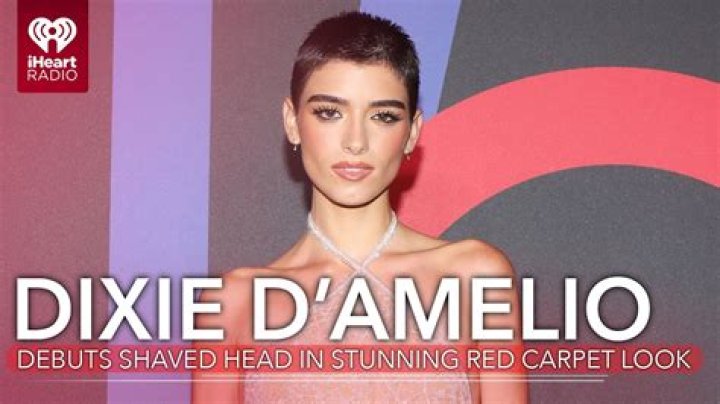 Did Dixie D'Amelio Come Out?