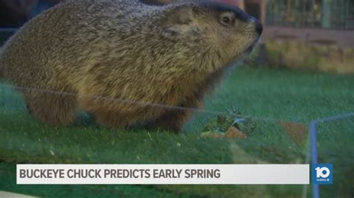 Discover Quarryville's Groundhog Lodge: A Wildlife Haven