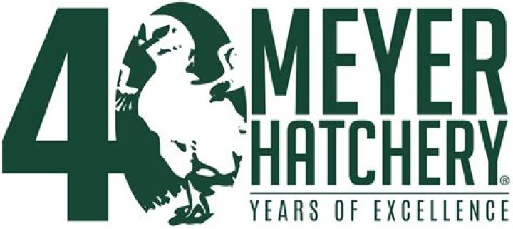 Discover The Secrets Of Meyer Hatchery: A Poultry Paradise