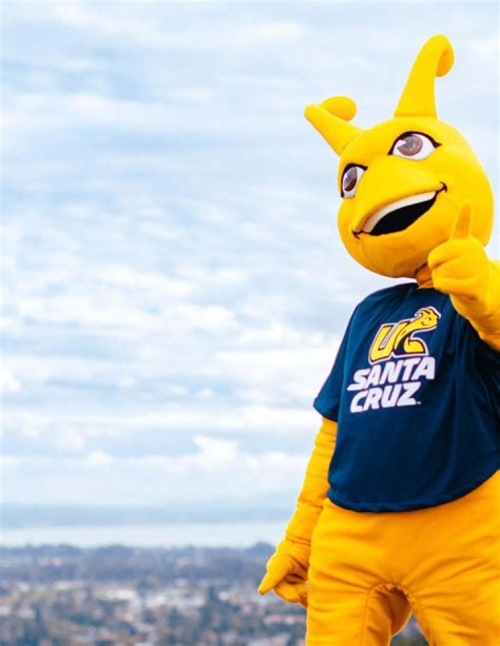 Discover The Unstoppable Rise And Revelations Of Yailin La Ms Viral