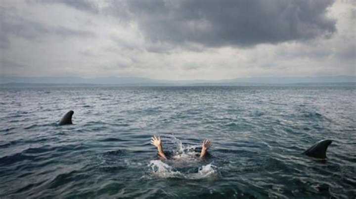 Discoveries And Insights Behind The Simon Nellist Incident