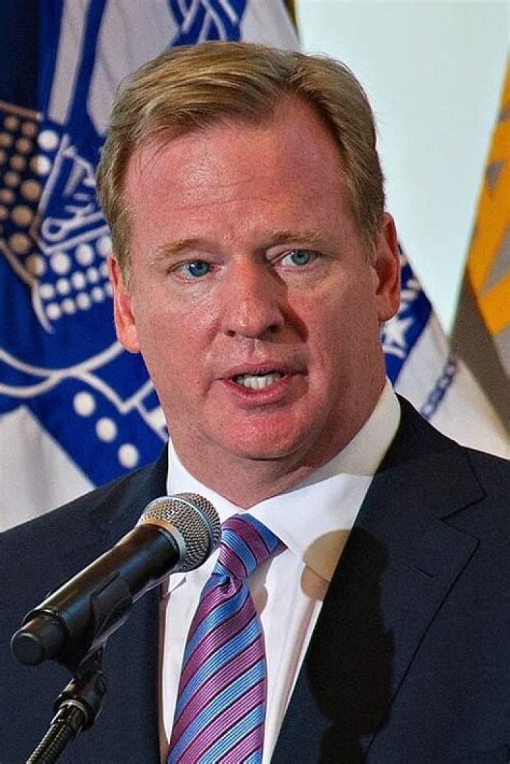 Does Roger Goodell Have Sister? Brother Tim And Michael Goodell ·