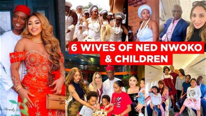 Exclusive Insights Into Ned Nwoko's Wives