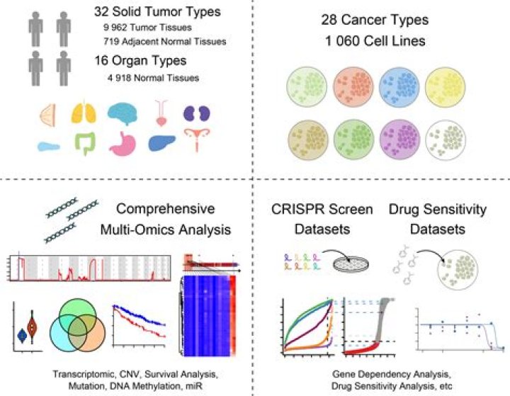 Exclusive Insights Into The CEO's Strategies