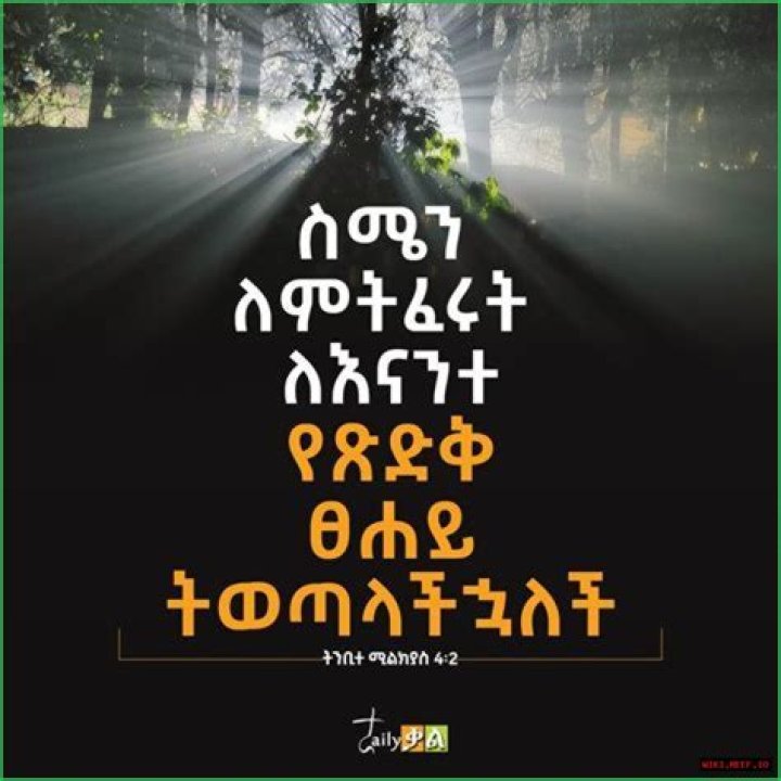 Explore Ethiopian Wisdom: Quotes In Amharic
