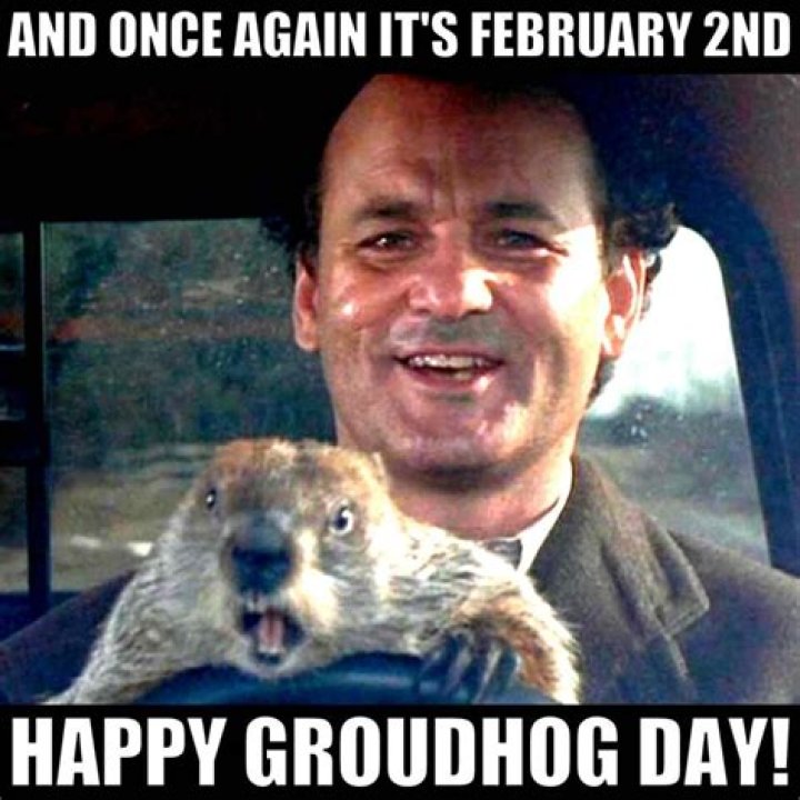 Groundhog day memes for your entertainment