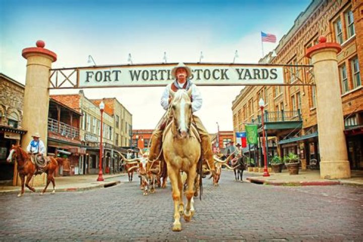 Guide To Pavy Stockyards: History, Facilities, And More