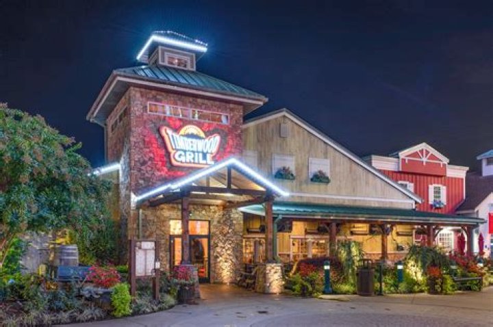 Guy Fieri Opens New Restaurant In Pigeon Forge