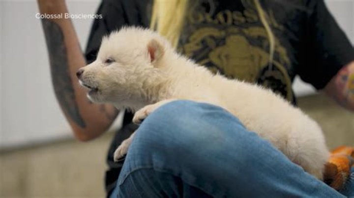 How one kiss brought 800,000 followers! Thu 2 August 2018 09:49 ·