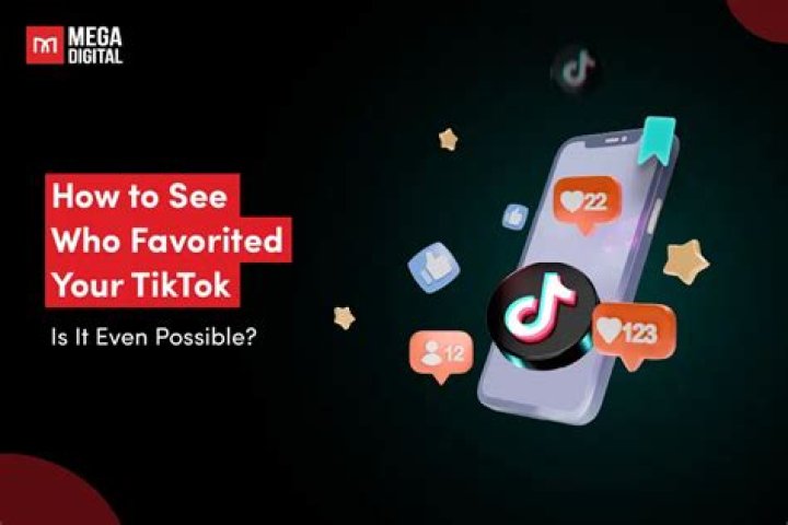 How to see who favorited your TikTok