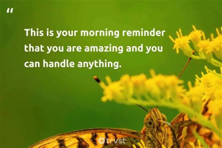 I Just Needed to Step Away