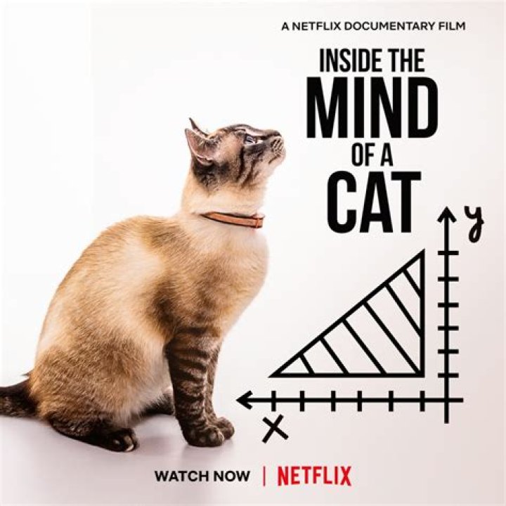 Inside The Mind Of A Wrestling Icon