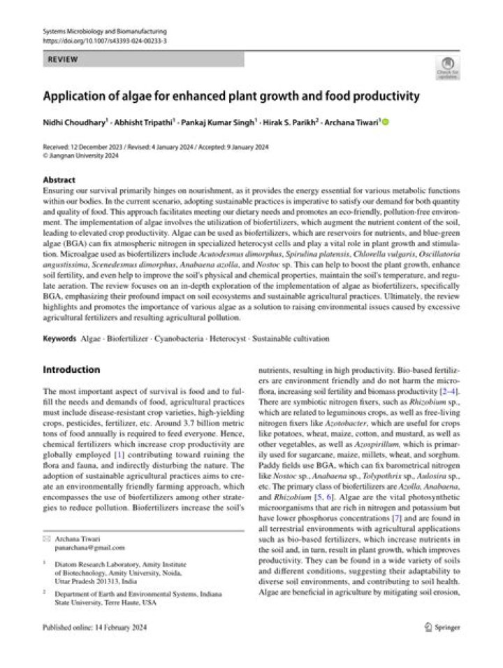 Insights For Enhanced Plant Growth