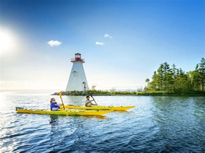 Nancy Grace's Towering Stature: Exploring Her Majestic Height