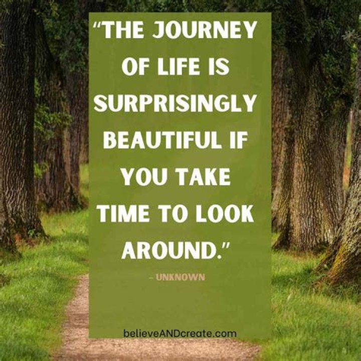 Net Worth, Life Journey, And Educational Foundation