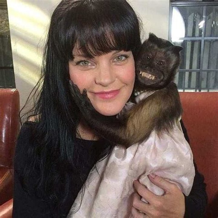 Pauley Perrette Biography, Age, Height, Husband, Net Worth, Family ·