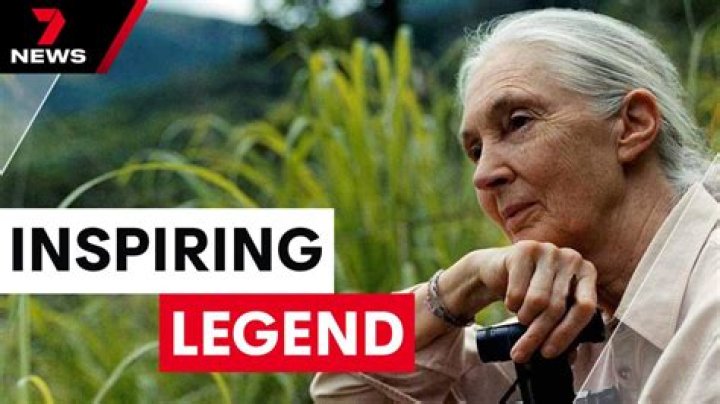 Renowned Conservationist Denise Bellingham's Impact In Kenya
