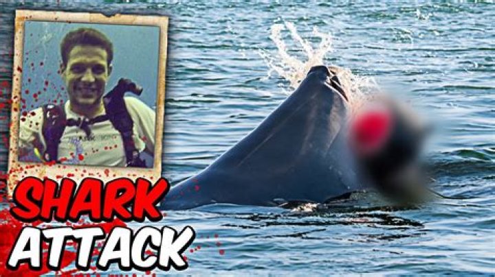 Simon Nellist Sydney Shark Attack Video Unedited: A Shocking Cautionary Tale