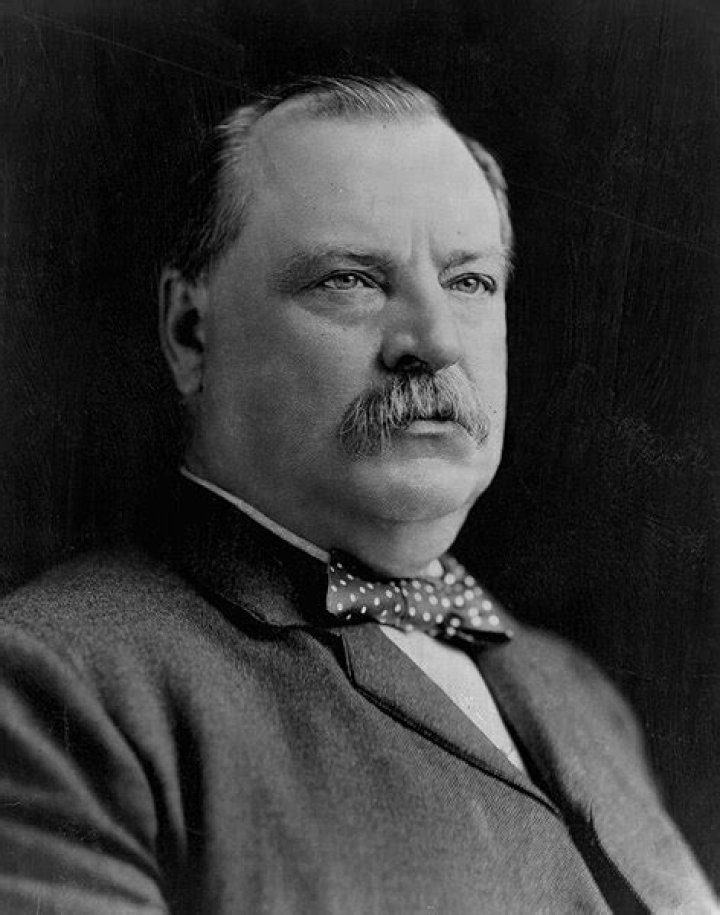The Notorious Life And Times Of Grover Cleveland Bergdoll