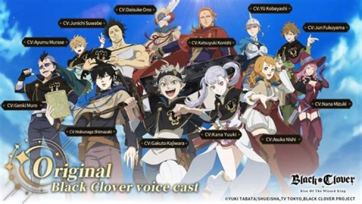 Ultimate Guide To Black Clover's Main Heroes