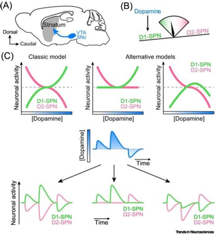 Ultimate Guide To Navigating Latto Relationships: Unraveling The Dynamics