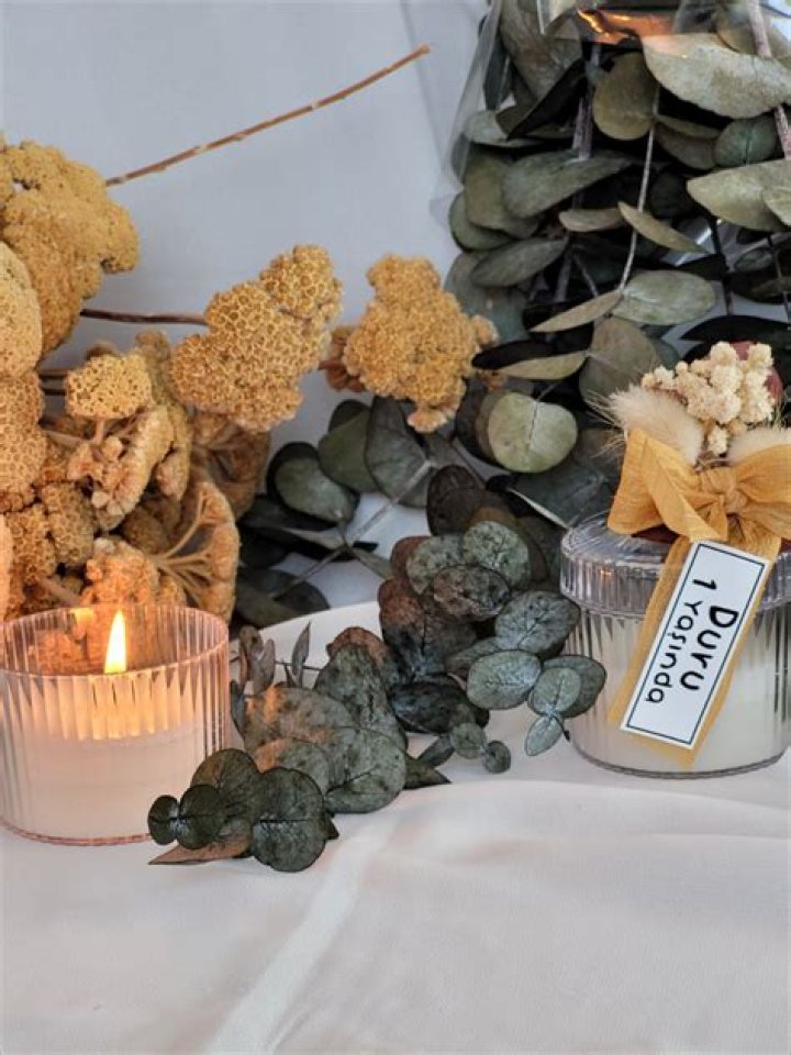 Uncover Hidden Gems And Elevate Your Celebrations