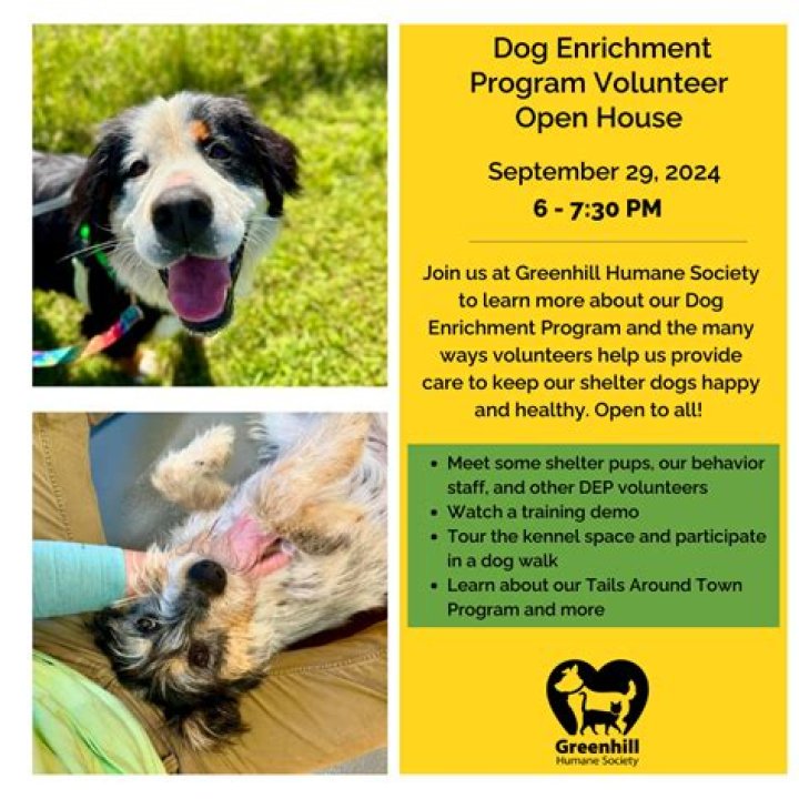 Uncover The Heart Of Animal Welfare: Unveiling Greenhill Humane Society