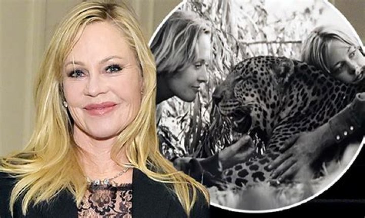 Uncover The Multifaceted World Of Melanie Griffith's Son