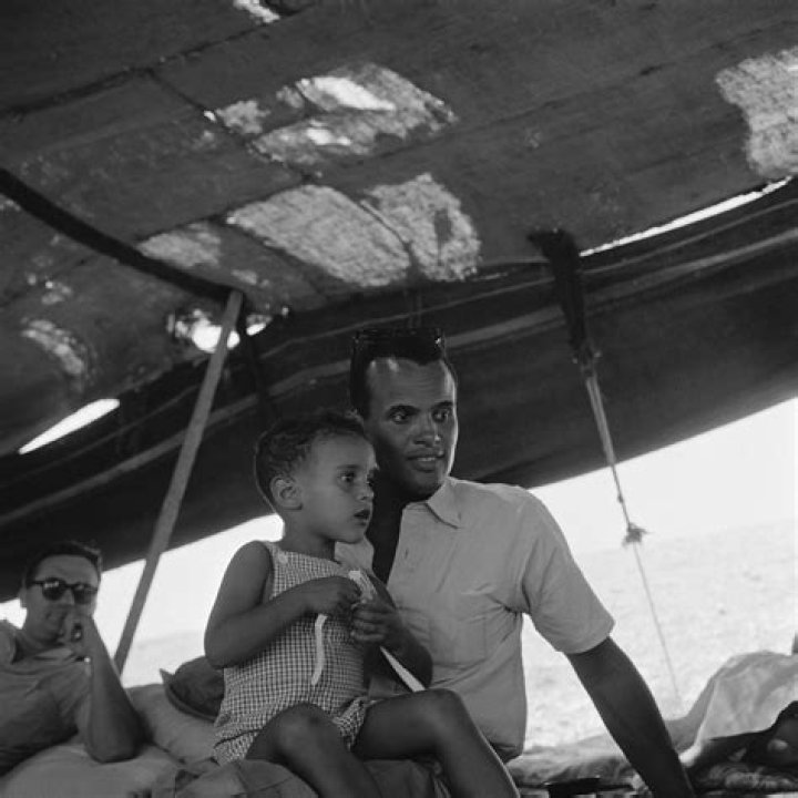 Uncover The True Identity Of David Belafonte: Son Of A Legend