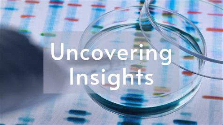 Uncovering Insights And Defying Assumptions