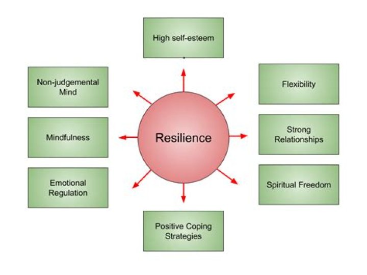 Uncovering Love, Support, And Resilience