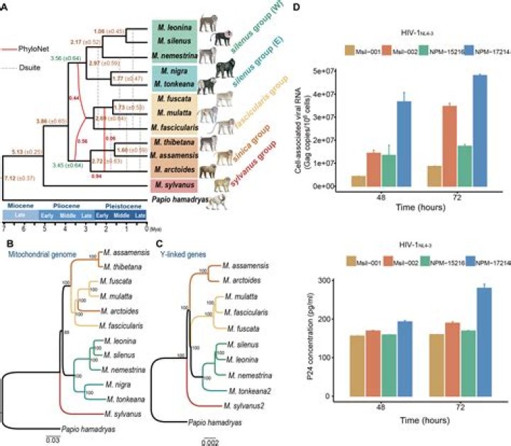 Uncovering The Enigmatic Rise Of A Star