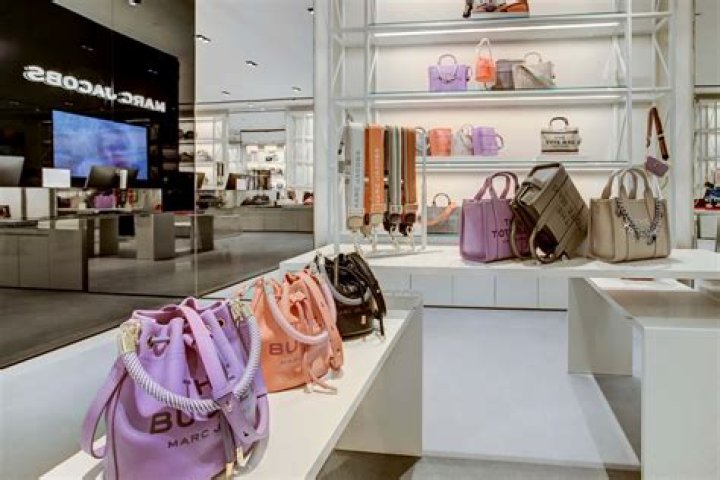 Uncovering The Fortune Behind The Creative Genius