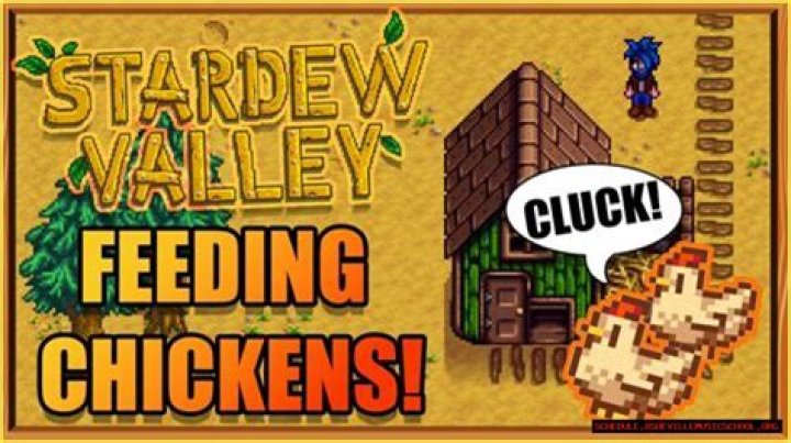 Understanding The Risks Of Chicken Survival In Stardew Valley